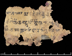 Digitised image of a paper fragment with writing in Brahmi.
