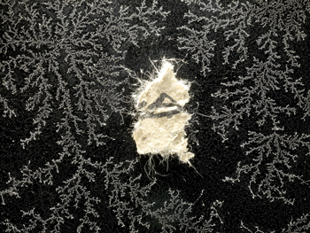 A fractal crystal pattern surrounding a small fragment of paper.