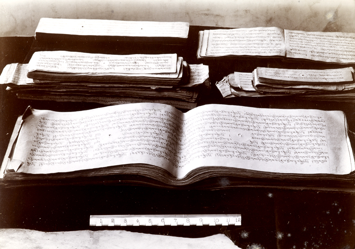 Long manuscript pages recognisable as pothi because they have circular holes in the middle of the text block.
