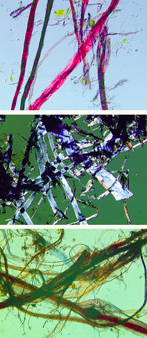 Very close microscopic image of paper fibres, surprisingly brightly coloured.