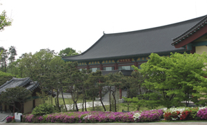 A traditional Korean building with surrounding decorative vegetation.