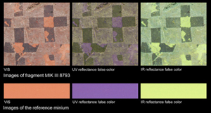 Composite showing three multispectral images, each corresponding to one pigment.