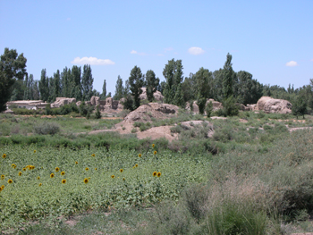 Hillocks and stone shapes in an area overgrown with grass and sunflowers.