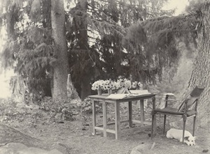 A desk table in the outdoors, with a dog lying down under the chair. 
