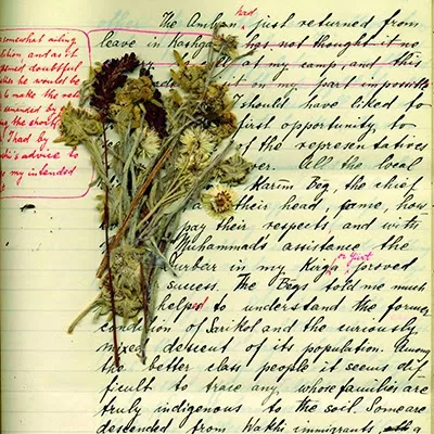 Dried flowers and a handwritten page on yellowish paper.
