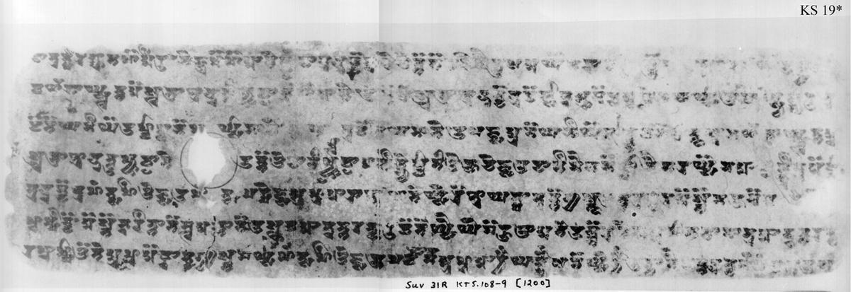 Long horizontal manuscript written in Khotanese Brahmi script.