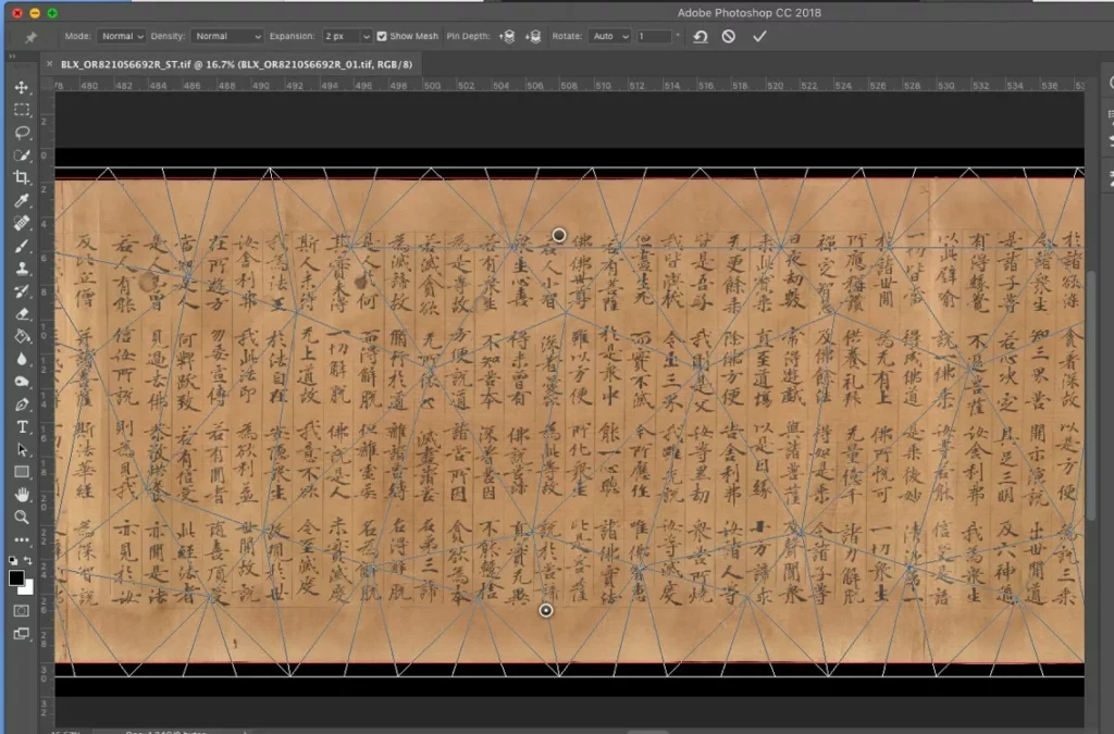 Photoshop window showing grey digital guidelines overlaid on the digitised image of a scroll.